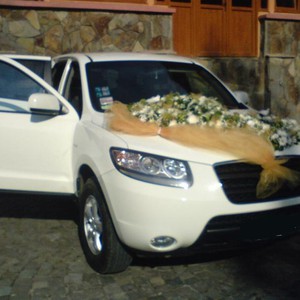весільне авто, кортеж, фото 8
